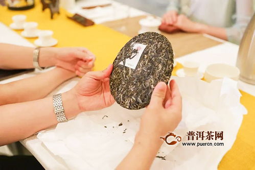佳兆業(yè)興海茶2020年經(jīng)銷(xiāo)商大會(huì)暨年度新品發(fā)布會(huì) 鵬城啟航，共創(chuàng)茶葉代理與銷(xiāo)售新篇章
