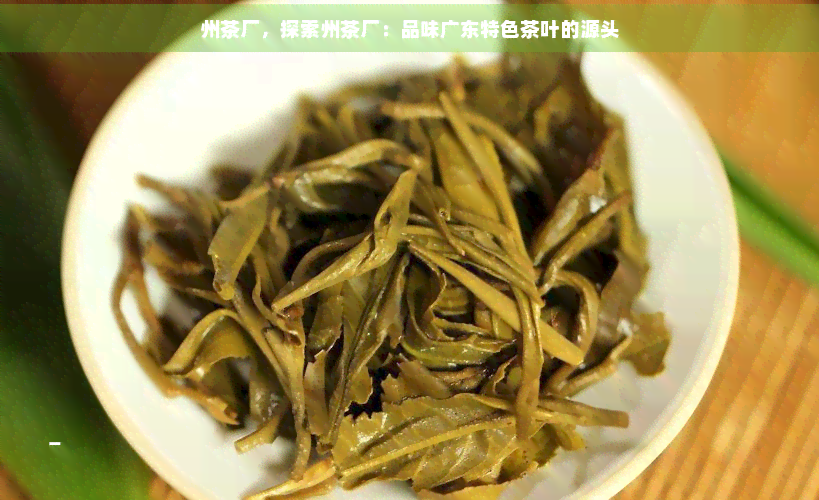 州茶廠 探索廣東特色茶葉的源頭與代理銷售新機(jī)遇