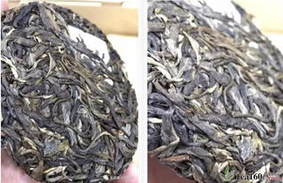 福元號首款生肖紀念茶 全國經銷商品茗珠海站，共啟茶葉代理與銷售新篇章